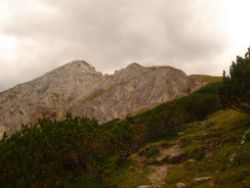 2013-09-08_6Falkenh-Steinfalk (097).JPG
